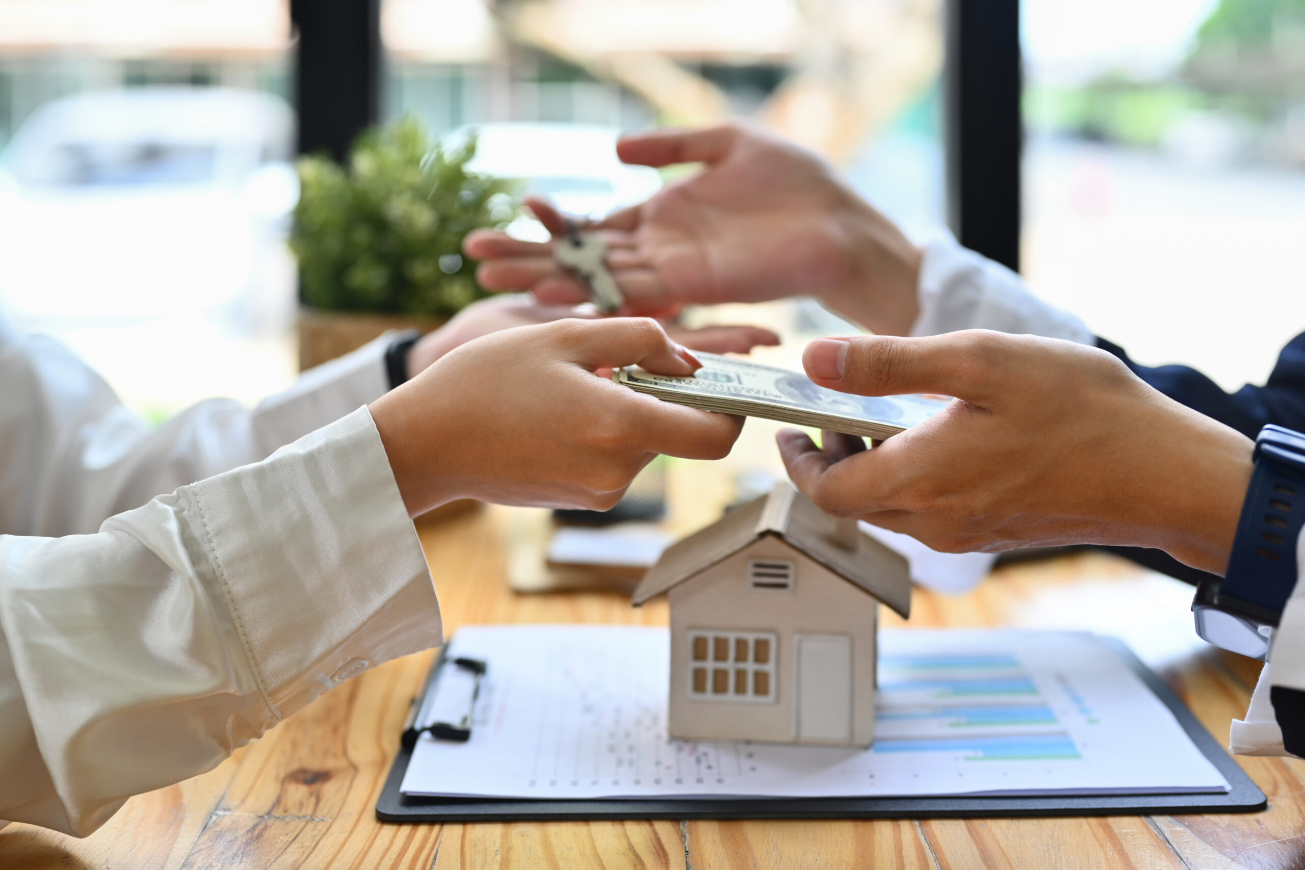 Foreign buyers in Baja California Sur